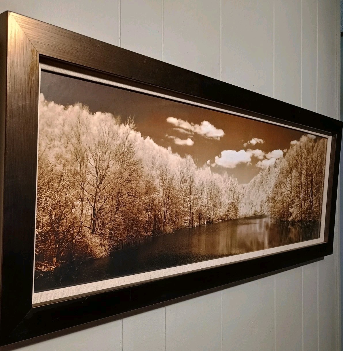 Large 15 X 39 Sepia Landscape Photograph Framed Art Minimalist Moody Monochrome