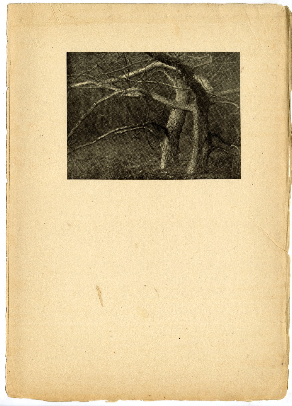 William A. Cadby, “Storm Light” April 1904, Original Camera Work VI Photogravure