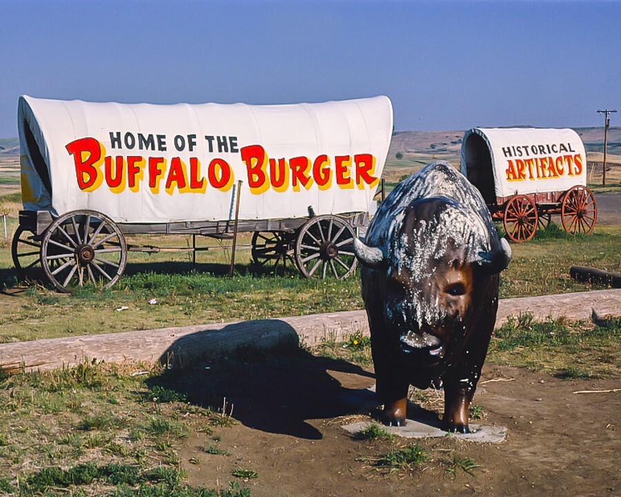 8×10 Vintage photo of Al’s Oasis Buffalo & Covered Wagon Statues, Oacoma, SD.