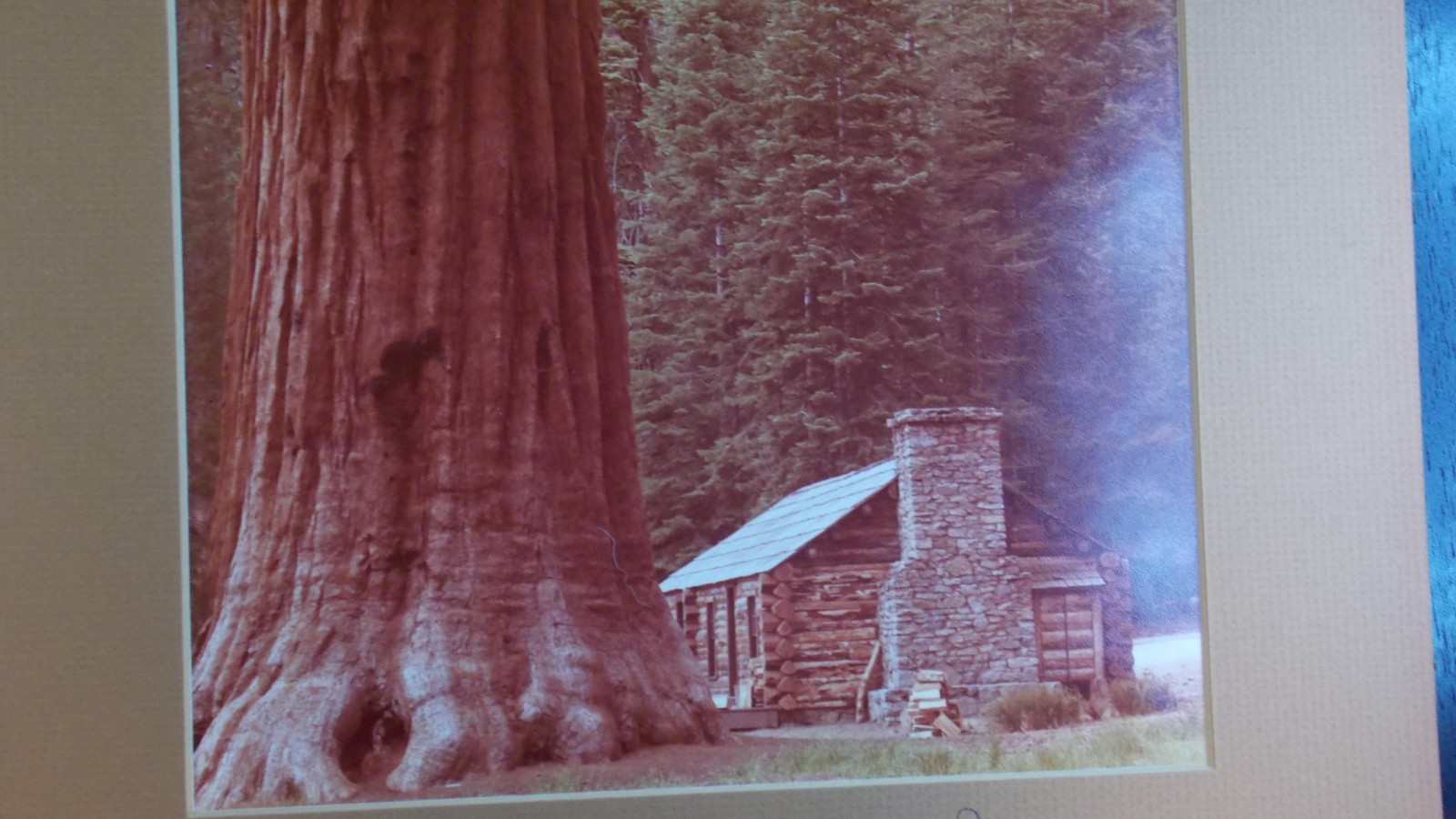 Borje Svensson Photography VTG, CA Scenic Redwood & Cabin, Signed, See Pictures