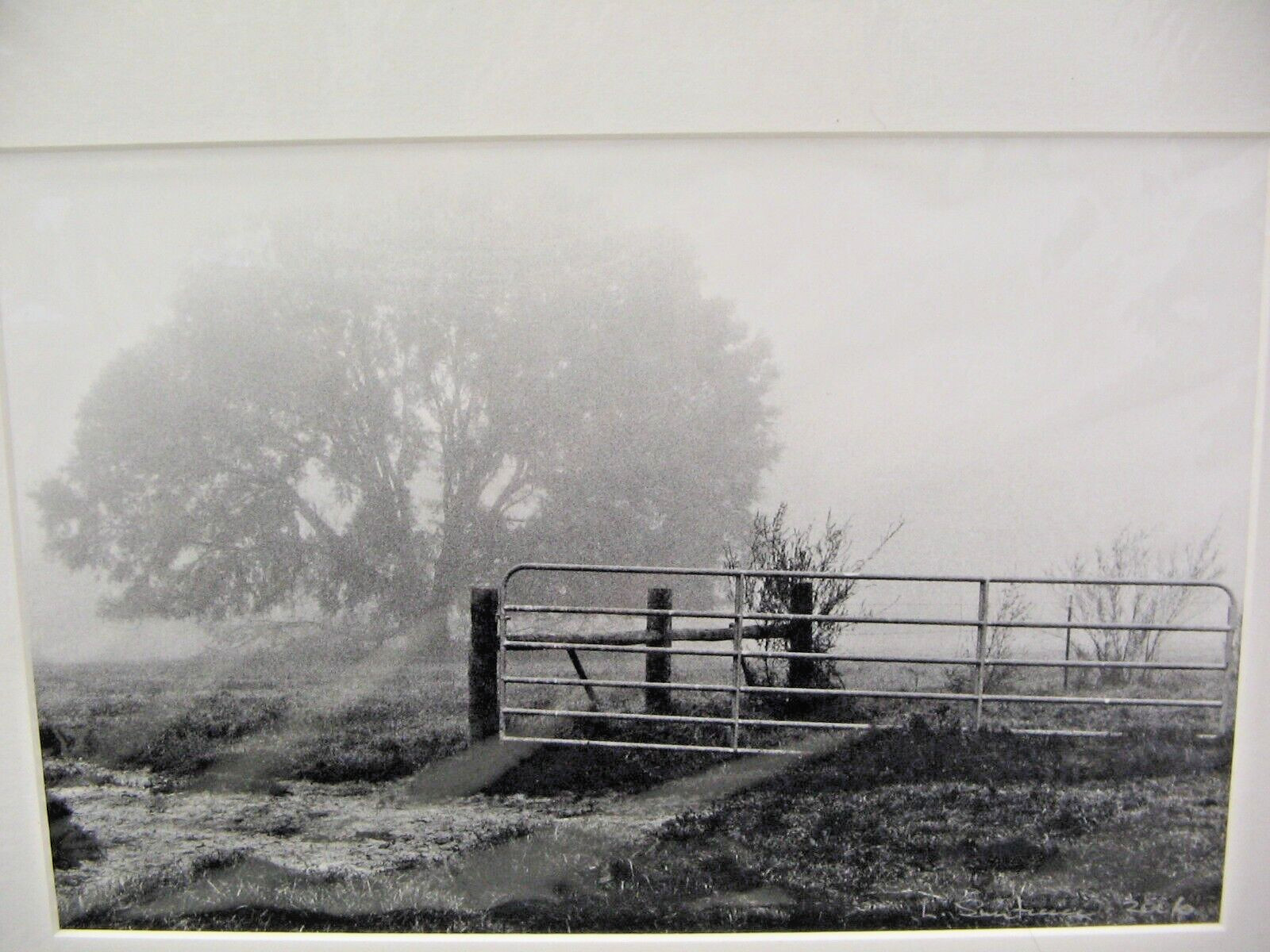 ART PHOTOGRAPHY 16×20 Kay’s Meadow B&W Matte Acid Free by Larry Santucci