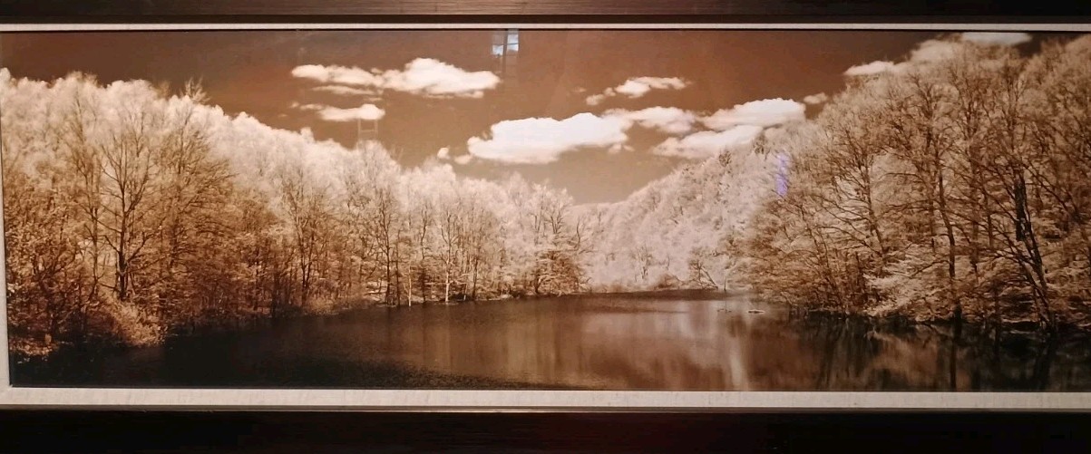 Large 15 X 39 Sepia Landscape Photograph Framed Art Minimalist Moody Monochrome