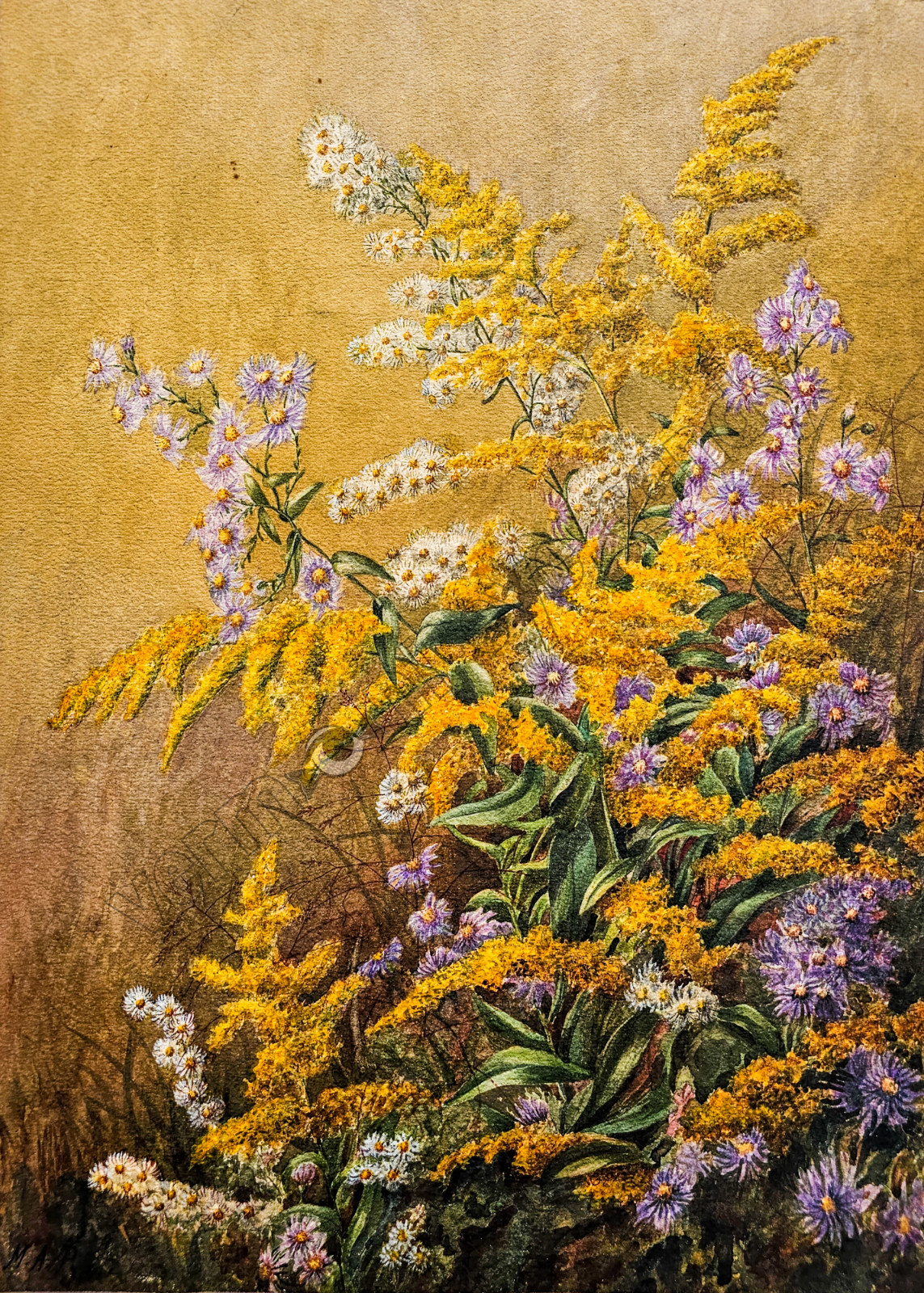 Wildflowers Daisies Golden Rod Wall Art Wildflowers INSTANT DIGITAL You Print