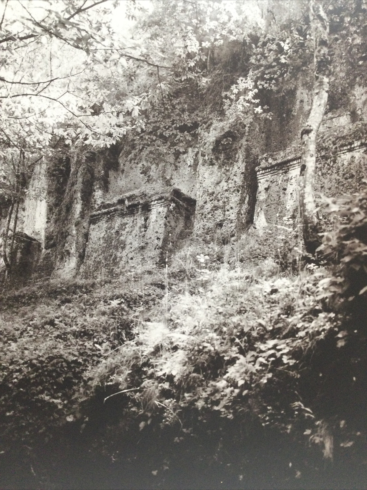 Dan Powell Original Silver Gelatin Photo (Ruins Savona, Italy) 19 x 16, 1999