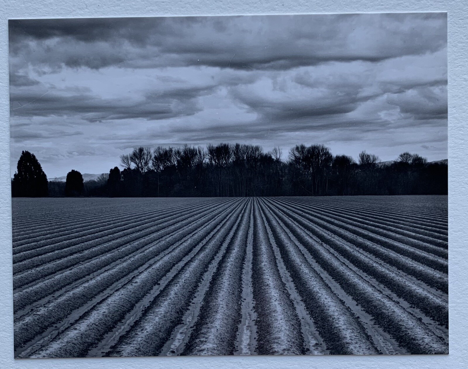 RARE COLLECTION OF 9 PHOTOGRAPHS BY ARTIST ROD DRESSER (Student of Ansel Adams)