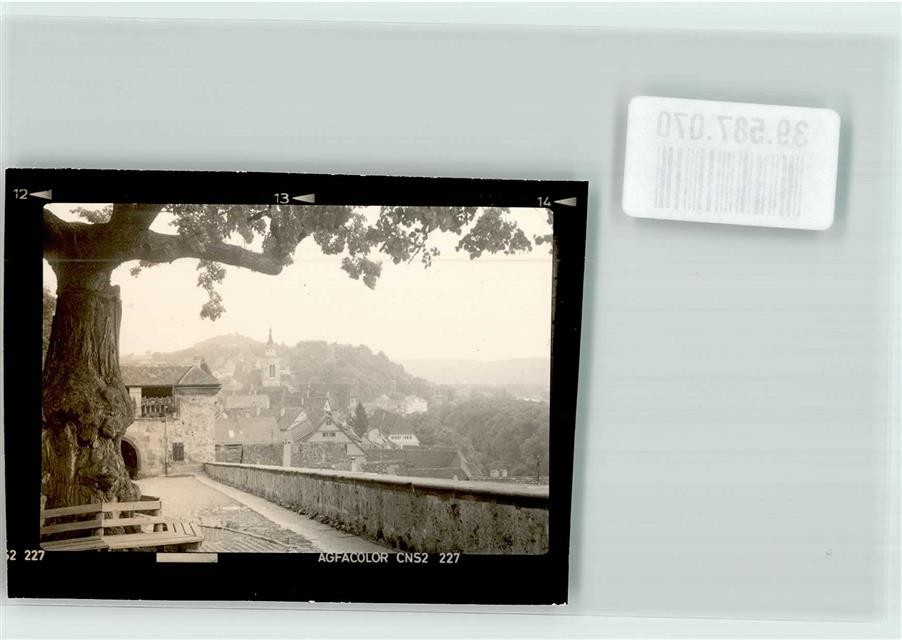 39587070 – 7400 Tuebingen old tree in the castle courtyard of Hohentuebingen