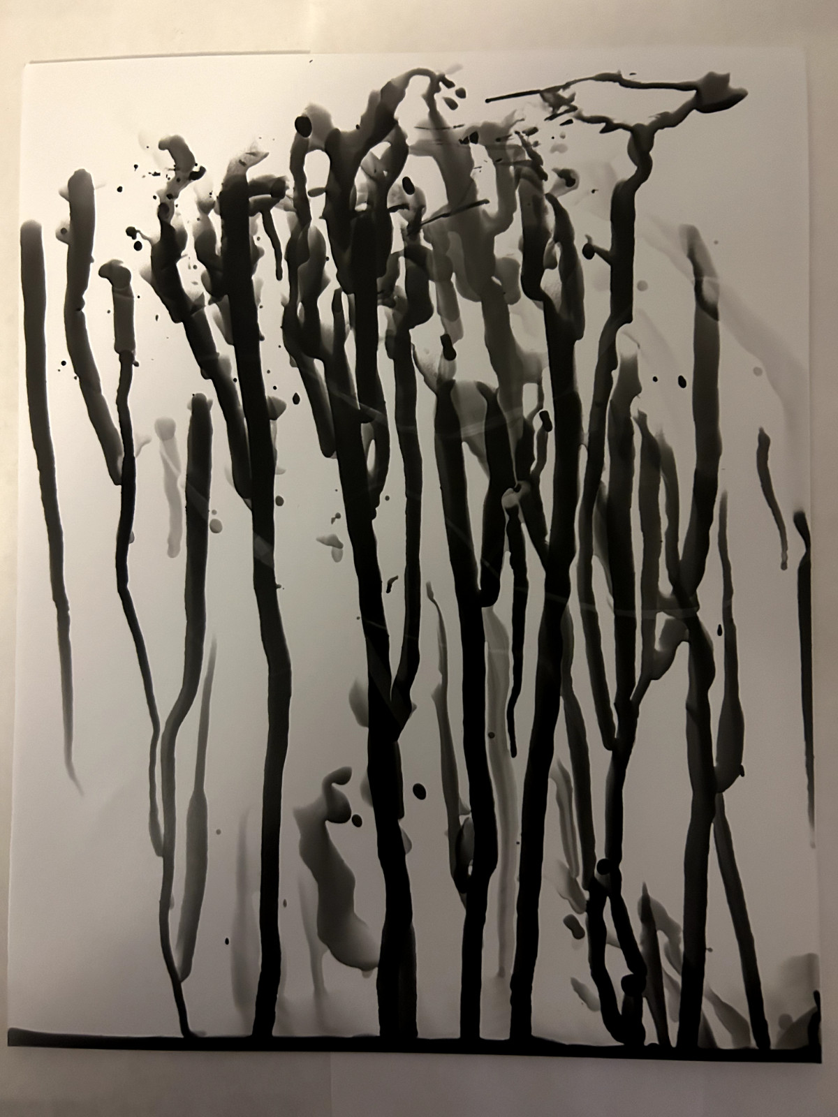 Untitled Photogram (2) Circa 2018