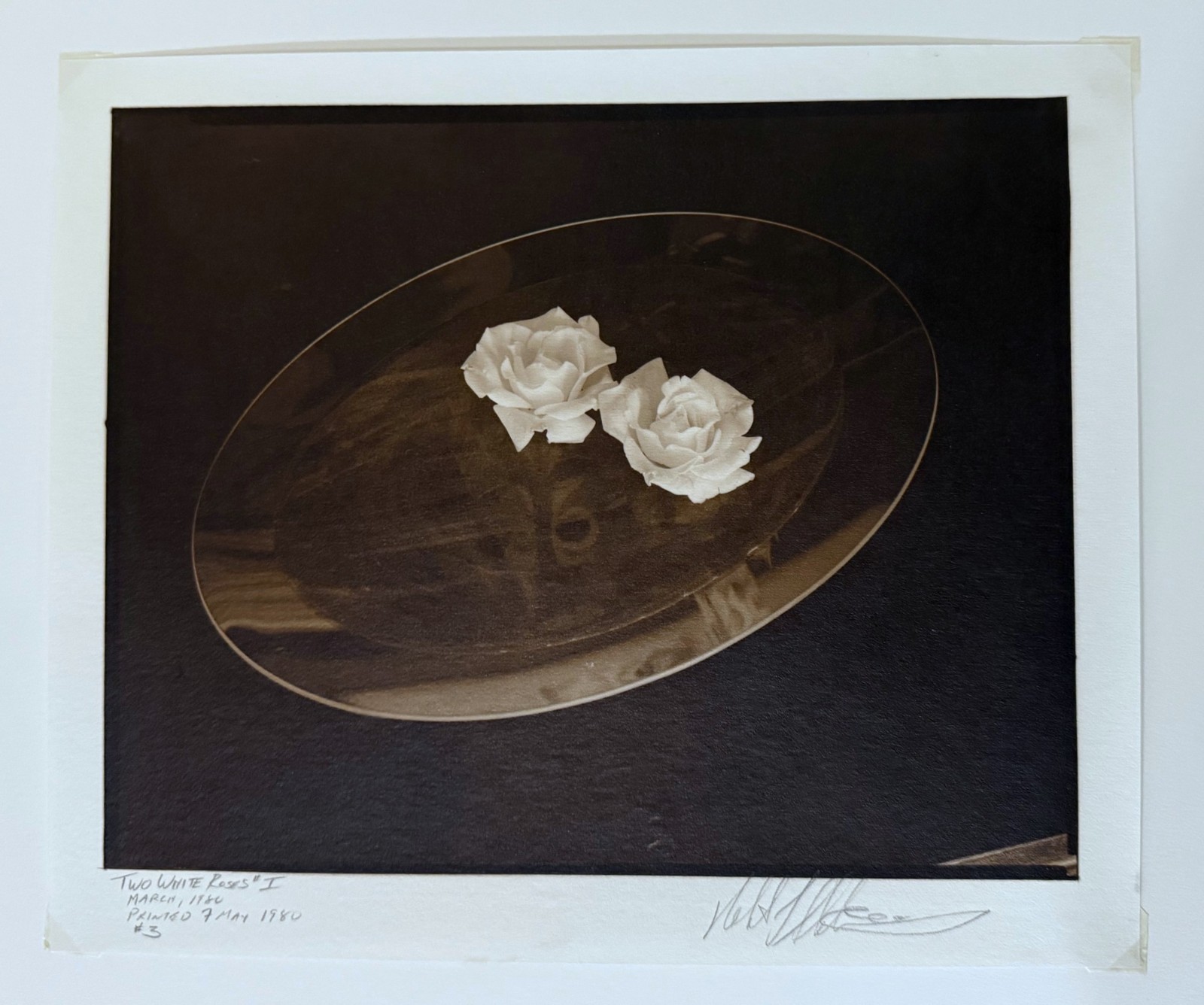 AMERICAN ARTIST ROBERT J. STEINBERG SIGNED DATED PHOTOGRAPH – “TWO WHITE ROSES”