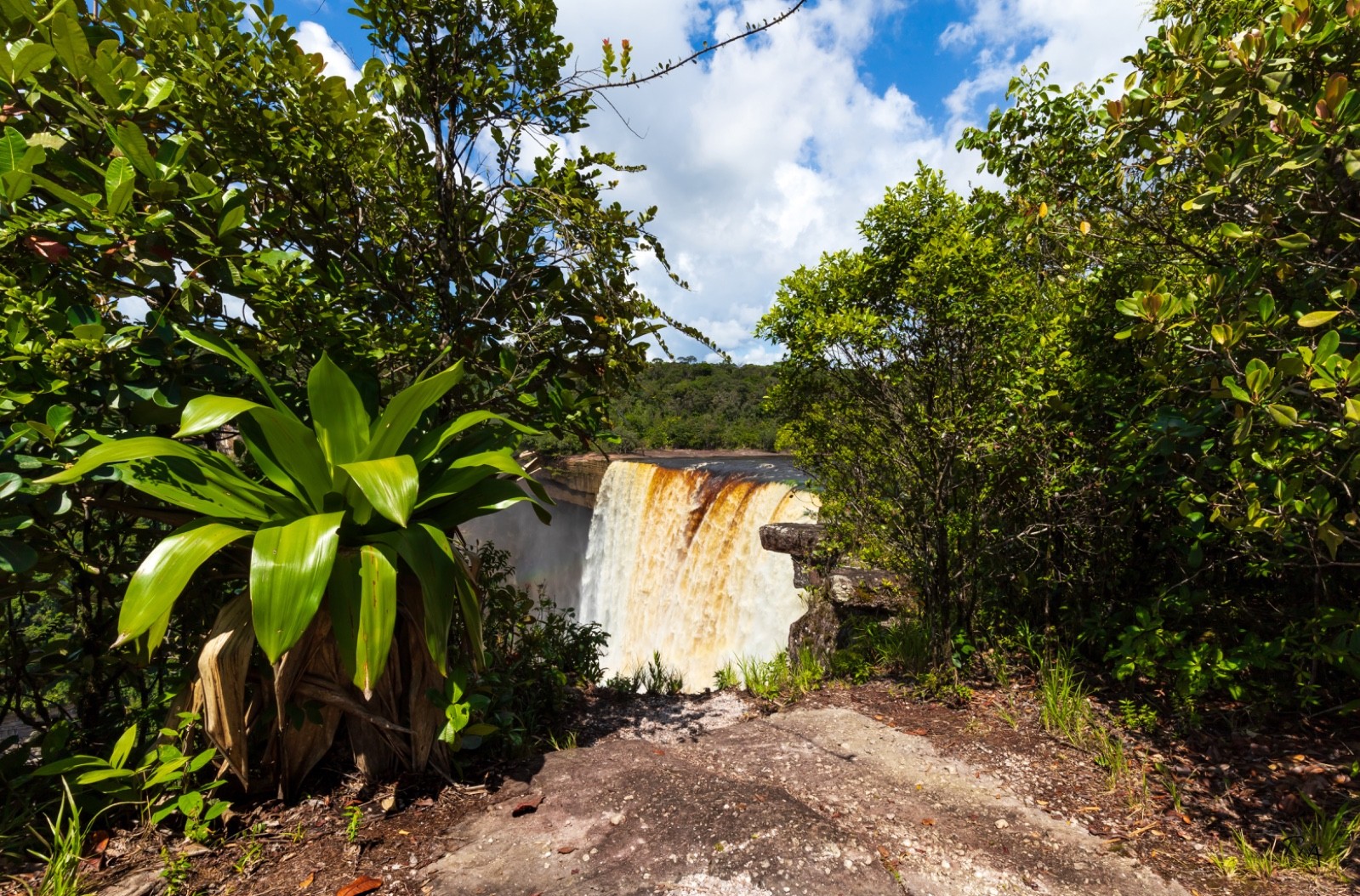 Beautiful Waterfall Photography Print Of Kaieteur Falls In Guyana South America