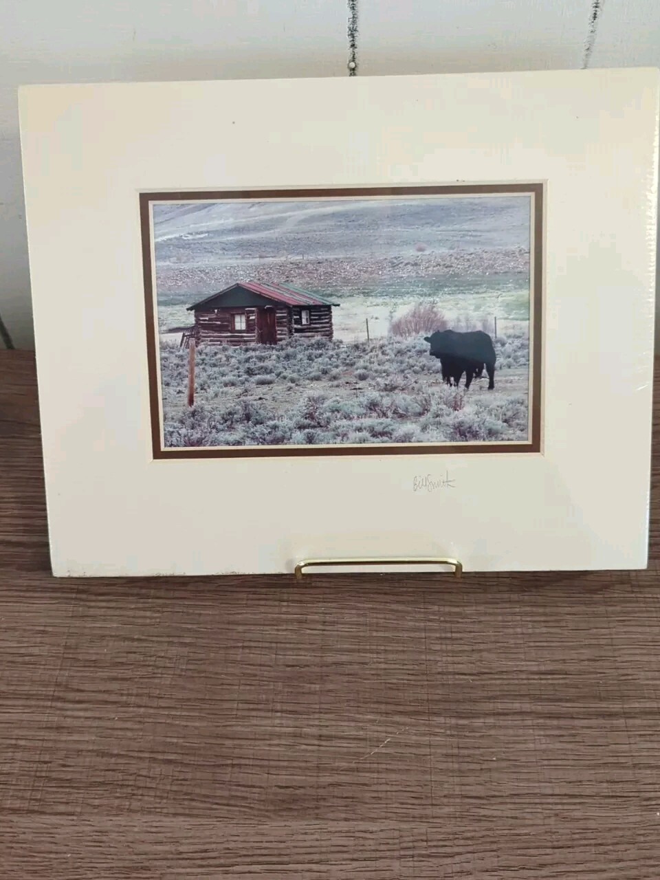 Bill Smith Photography Prints #341 And 339 “Colorado Cows” Signed 10″x8″