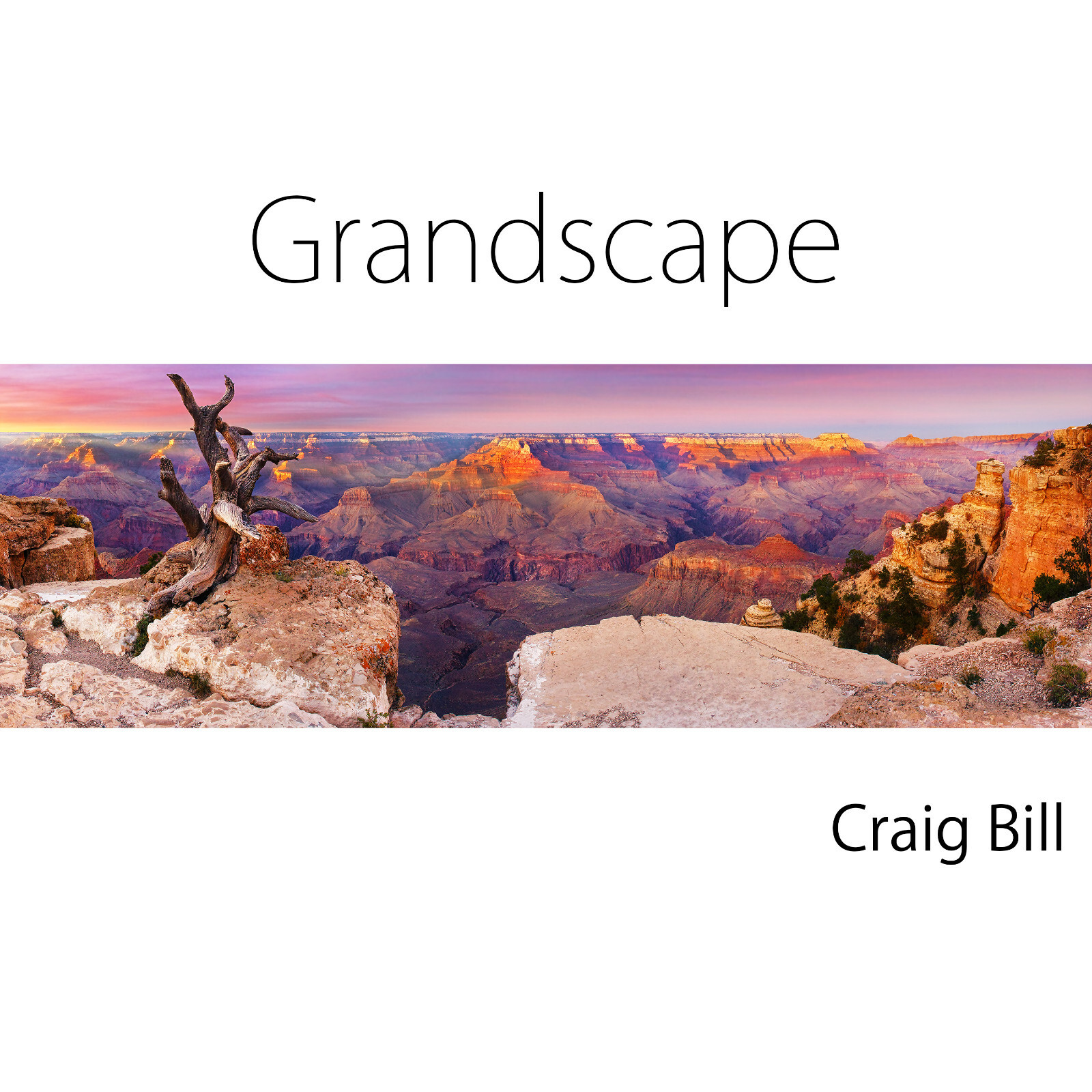 Craig Bill “Grandscape” Artwork Luxury Fine Art Landscape Complete