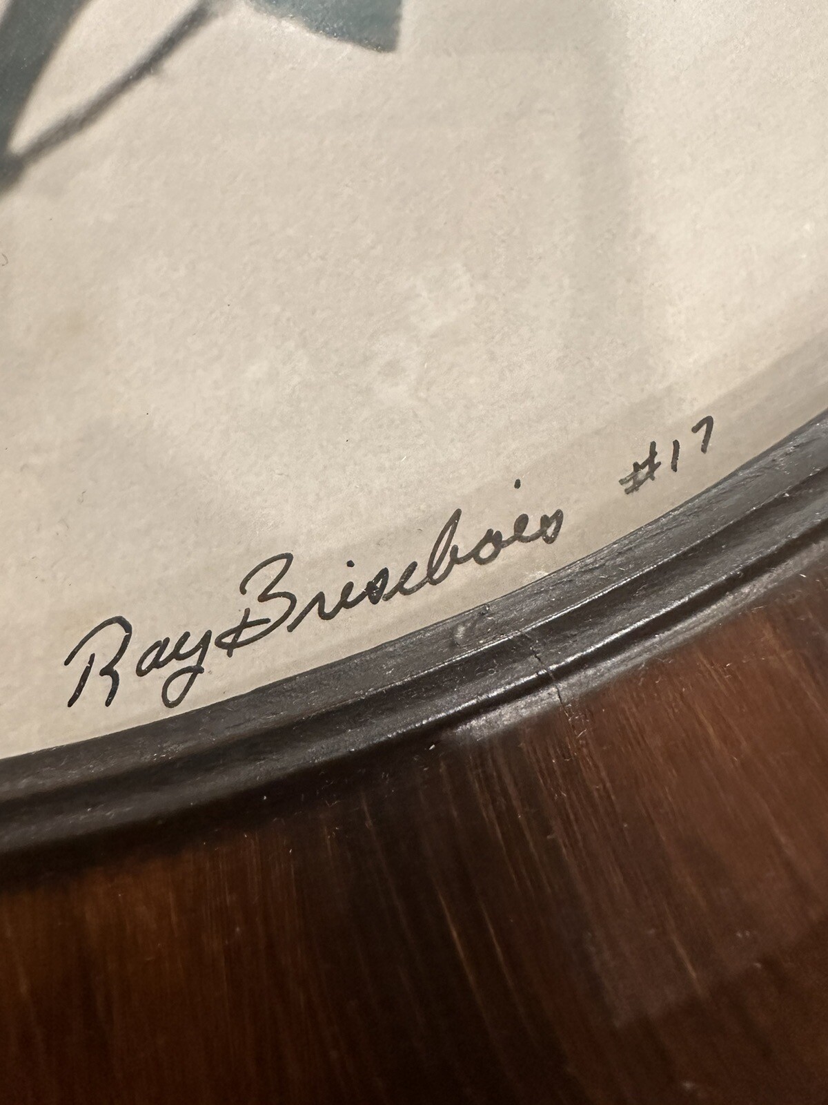 RARE- Ray Bisebois Photo Art Rose Oval Wooden Frame Dome Glass Signed By Artist