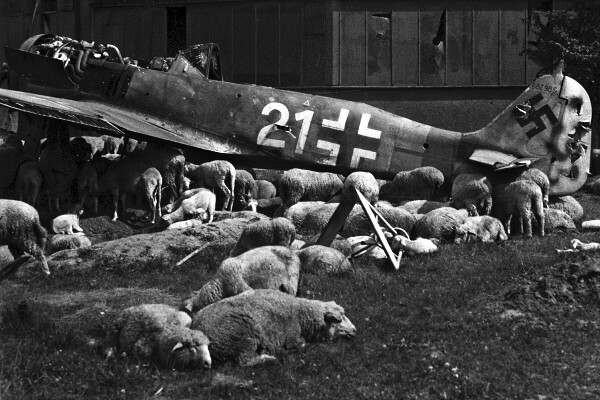 New World War II Photo: Wrecked Airplane after War in Nuremberg, 1946 – 6 Sizes!