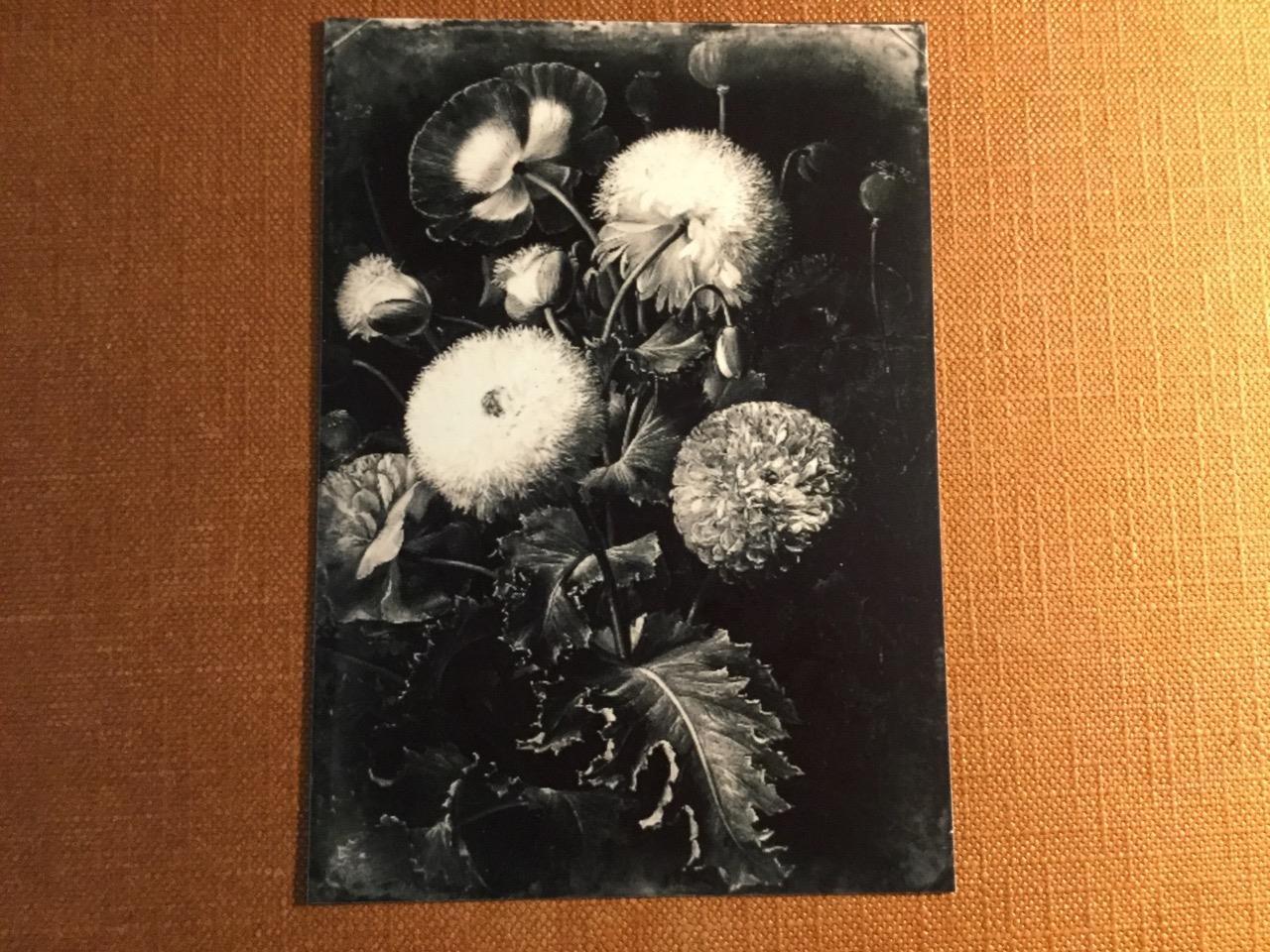 Dutch Flowers J Edwards Original Art Tintype Limited Series From Artist C029