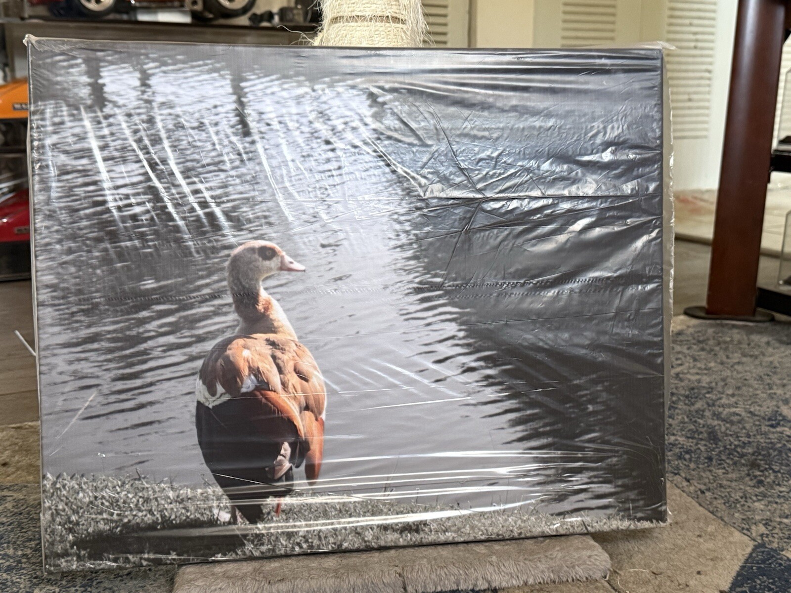 16×20 Canvas Photo Print
