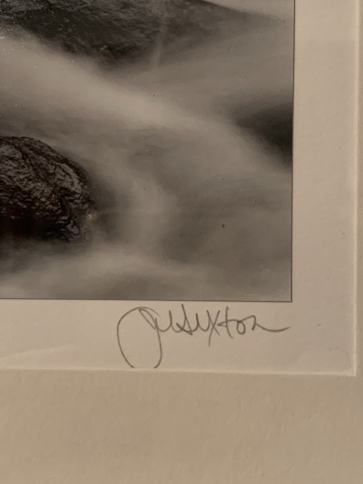 Signed John Sexton Merced River & Forest Yosemite Valley Silver Gelatin photo