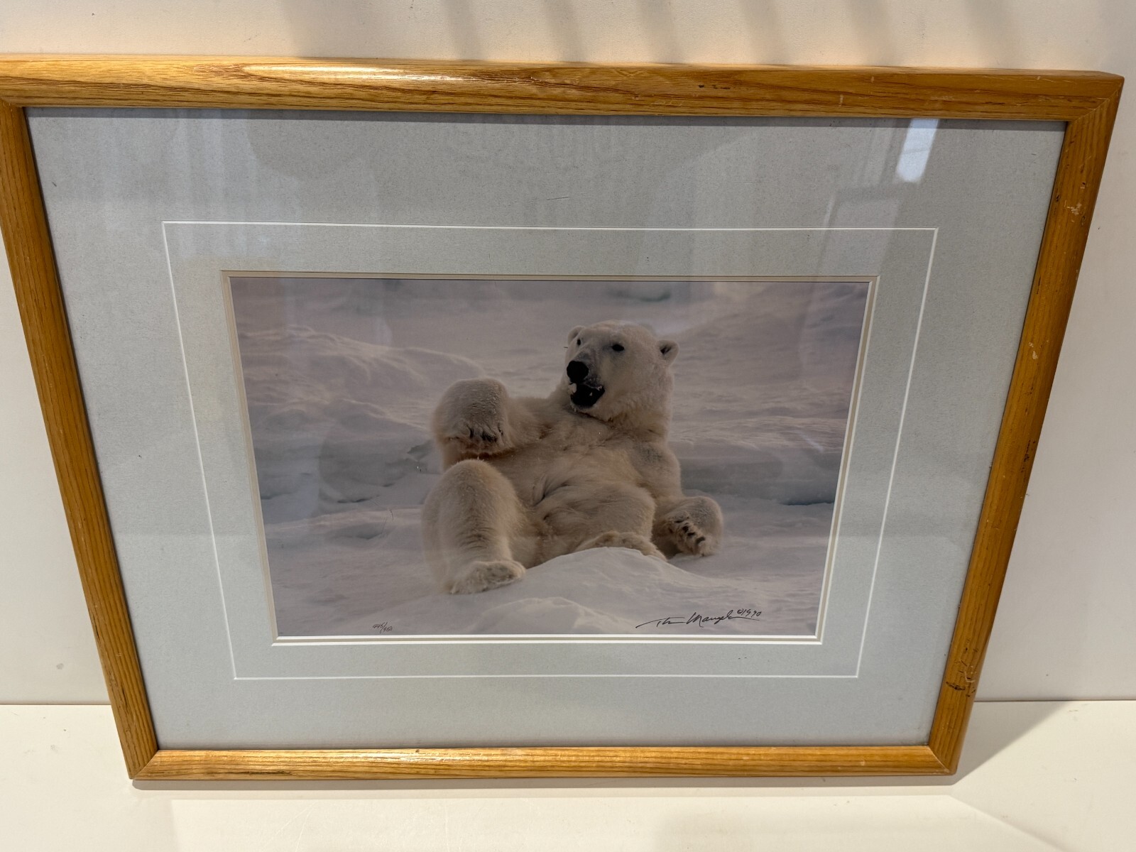 Thomas D. Mangelsen Polar Bear Limited Edition, 445/950, Signed & Framed