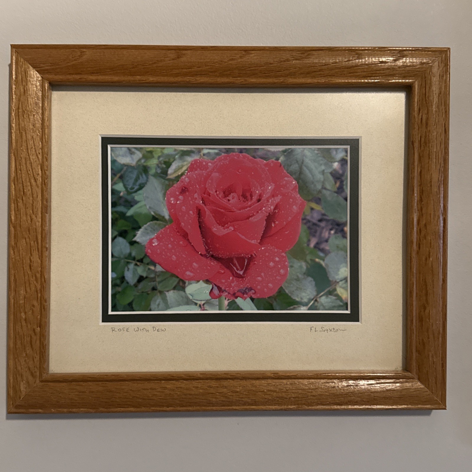Vintage Original Colored Photography Red Rose with Dew Artwork Saxton Framed Oak