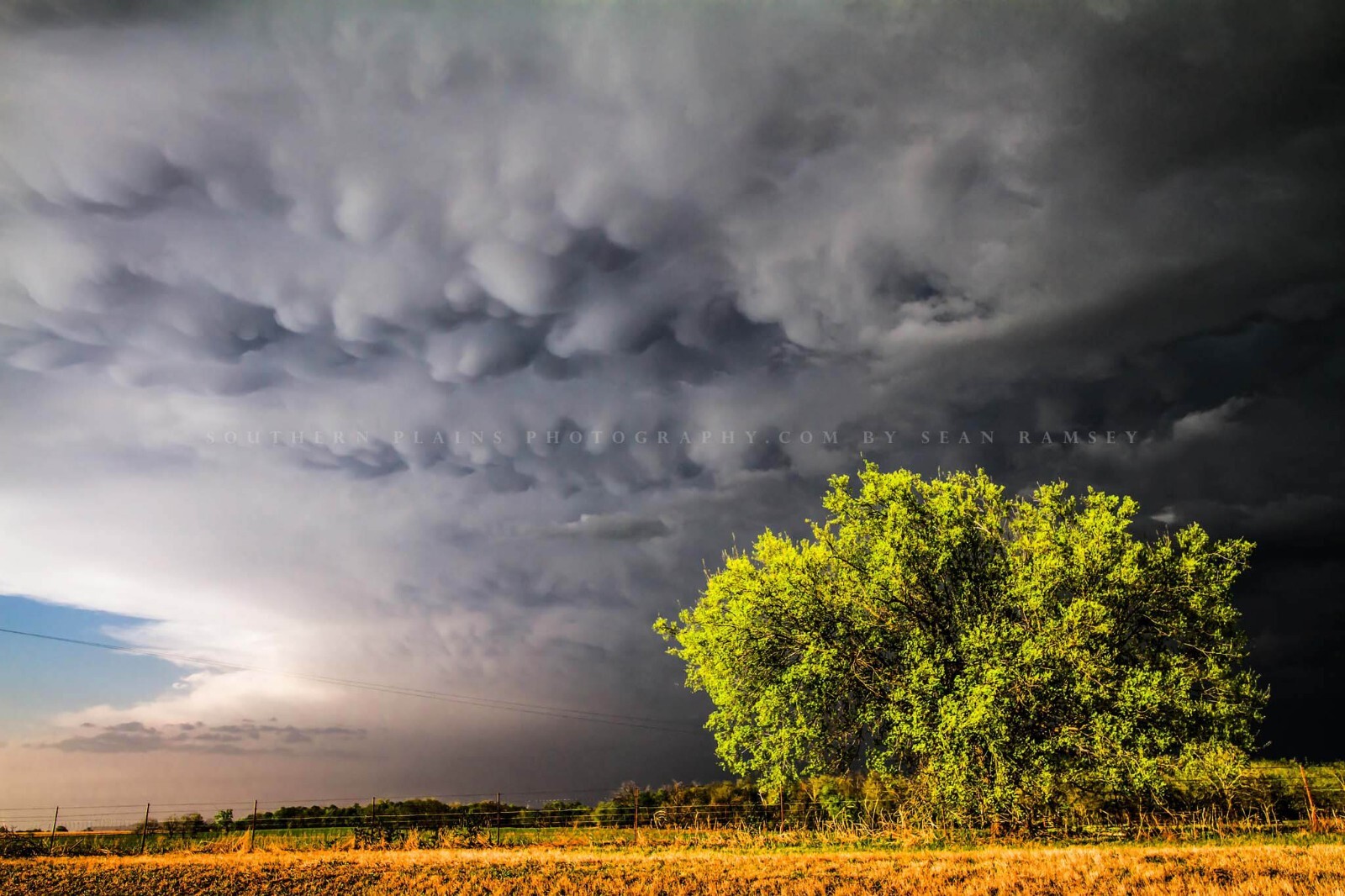 Stormy Sky Photography Print – Picture of Mammatus Clouds Over Tree in Oklahoma