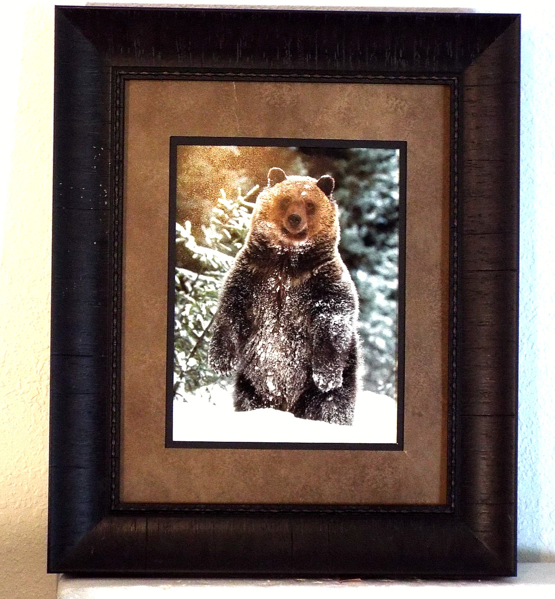 Wildlife Signed James T Jones Photograph Grizzly Bear Snow