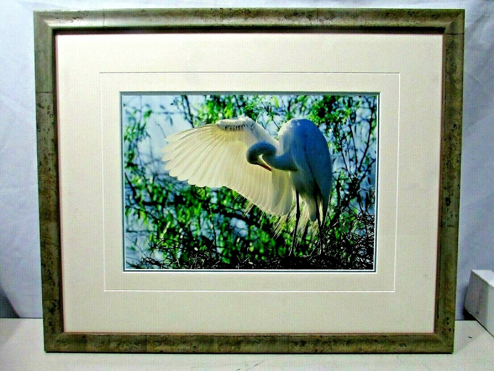 Thomas Mangelsen Le Danseur — Great Egret Framed Photograph