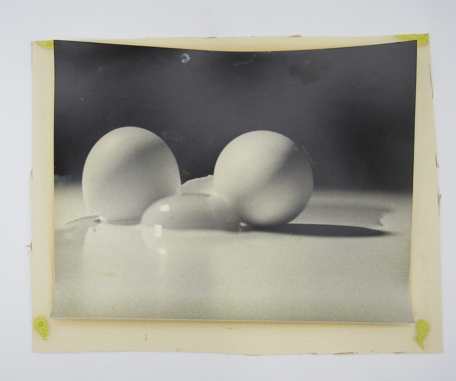Signed David William Ginsburg photograph 2 Eggs 1 Yolk b&w food photo scientific