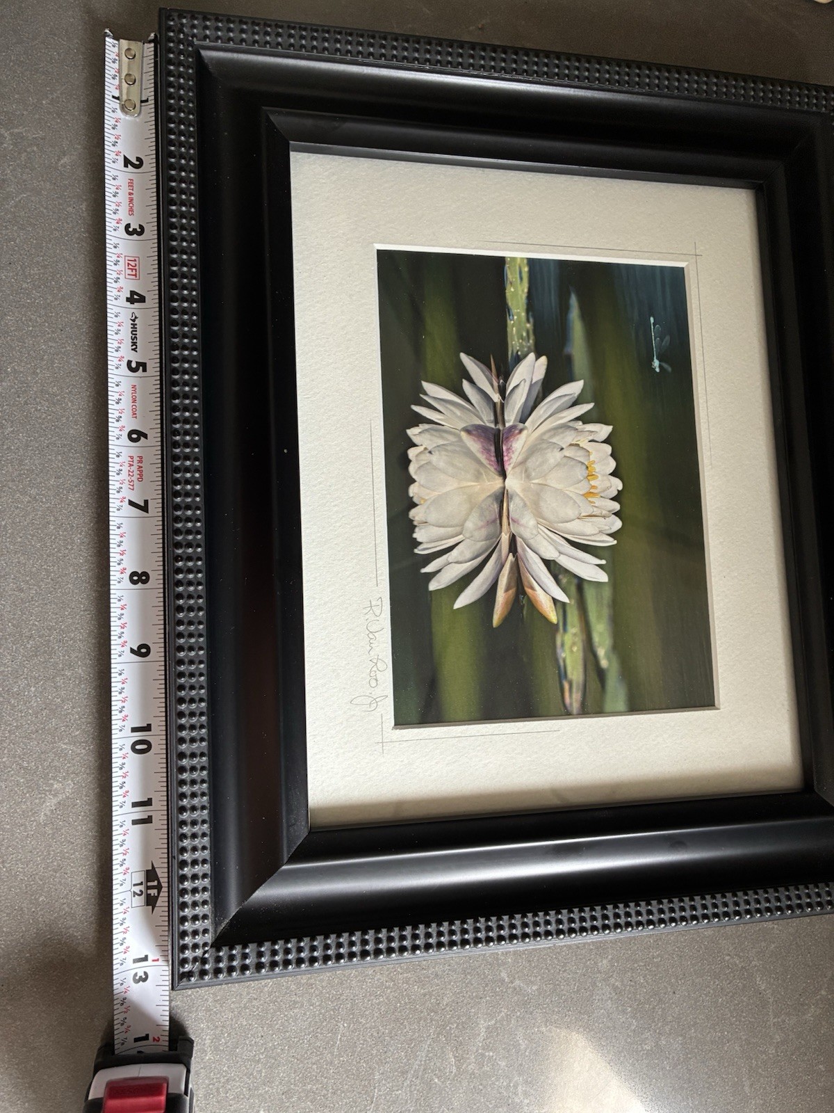 ORIGINAL R VAN LOO JR WATER LILLY SIGNED PHOTO PRINT FRAMED AND MATTED 13″x11″