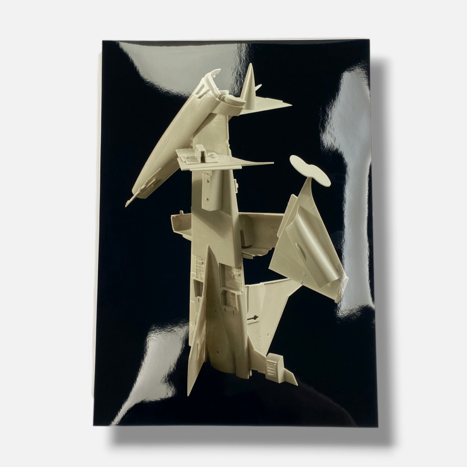 Joan Fontcuber “Pin Zhuang” 2004, Art Photography Multimedia & Book Set