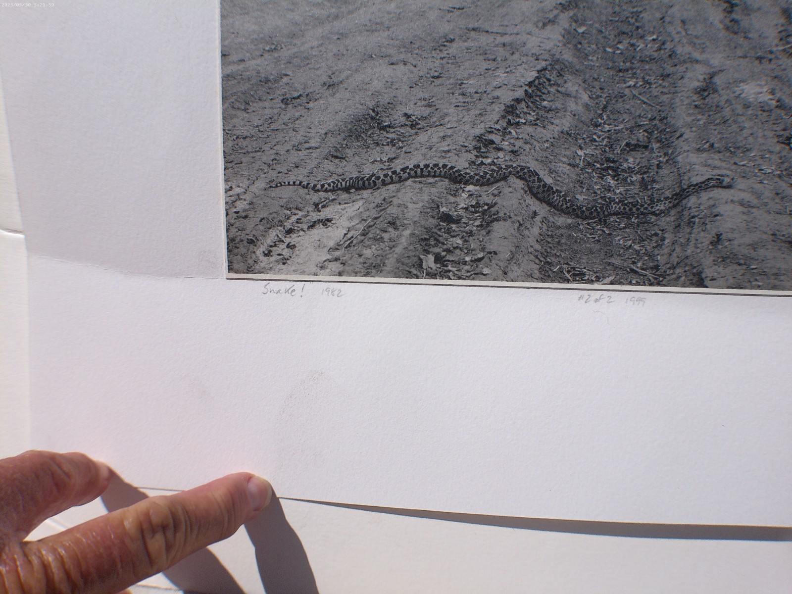 ” Snake! ” 1982 RAY BELCHER, Silver Gelatin Print , Santa Fe New Mexico