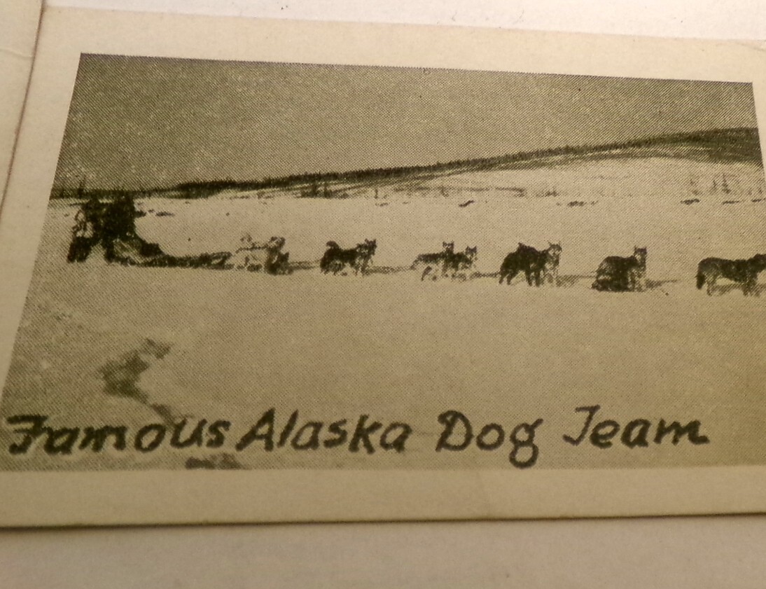 RARE Antique ALASKA Miniature Photos Eskimo Indian KETCHIKAN US MAIL Pouch