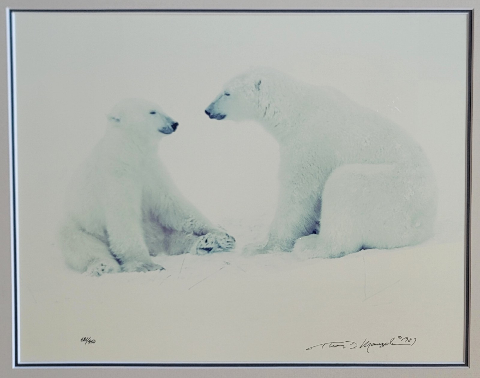 THOMAS MANGELSON – Polar Expressions Limited Edition Photograph #681/950, 11×14″