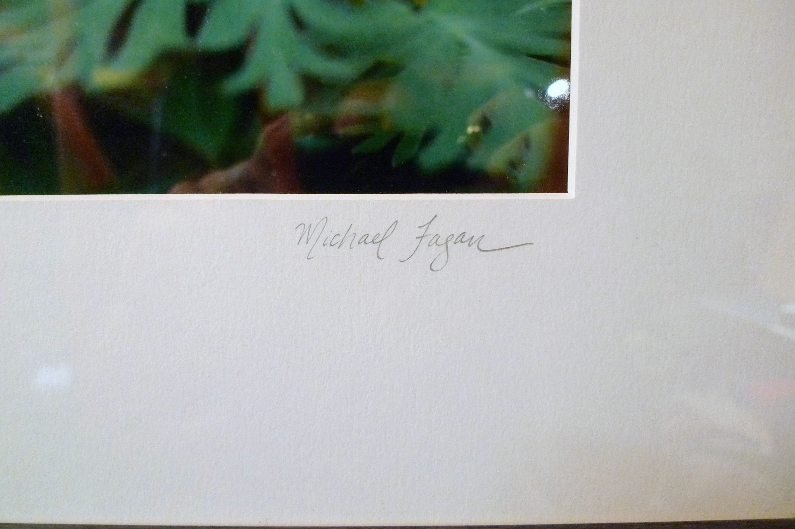 FRAMED 22″ X 18″ MICHAEL FAGAN SIGNED FLOWER PHOTOGRAPH