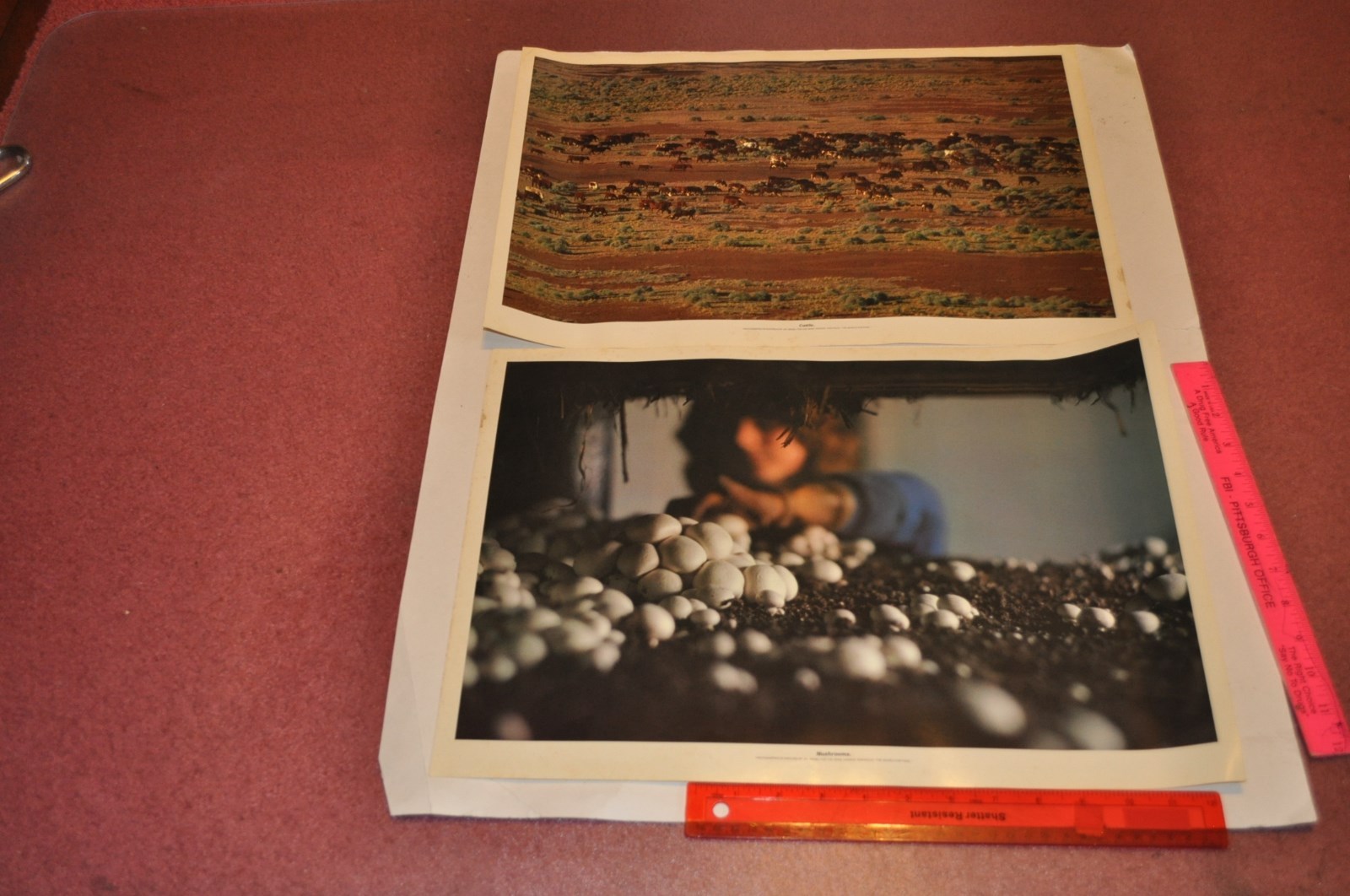 The Search for Food — Portfolio of 16 color photographs for Heinz | Jay Maisel