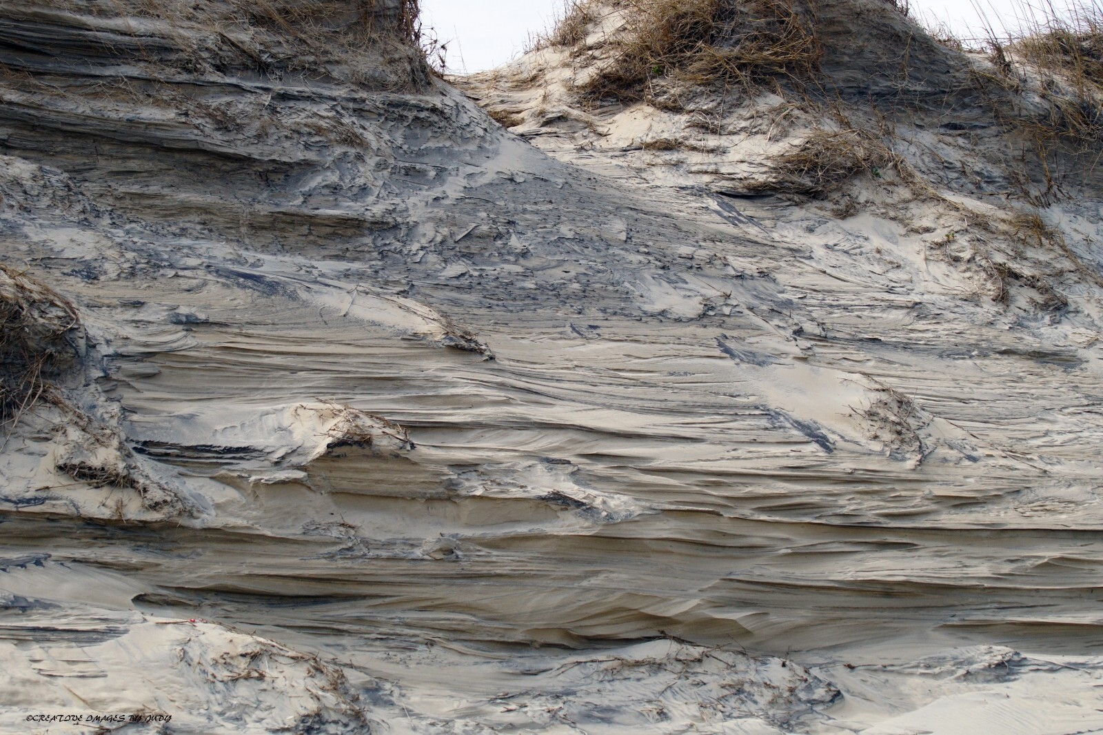 “Painted Dune” OBX Wall Art