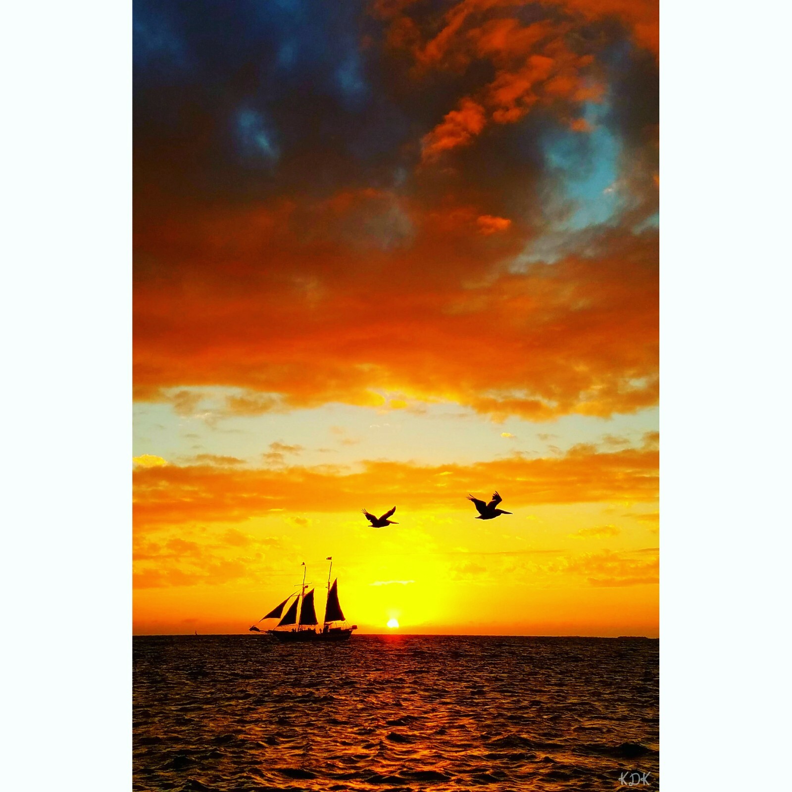 KEY WEST Sailboat 11×14 Art Photo Photograph Print Pelican Pair Couple Bird Sail