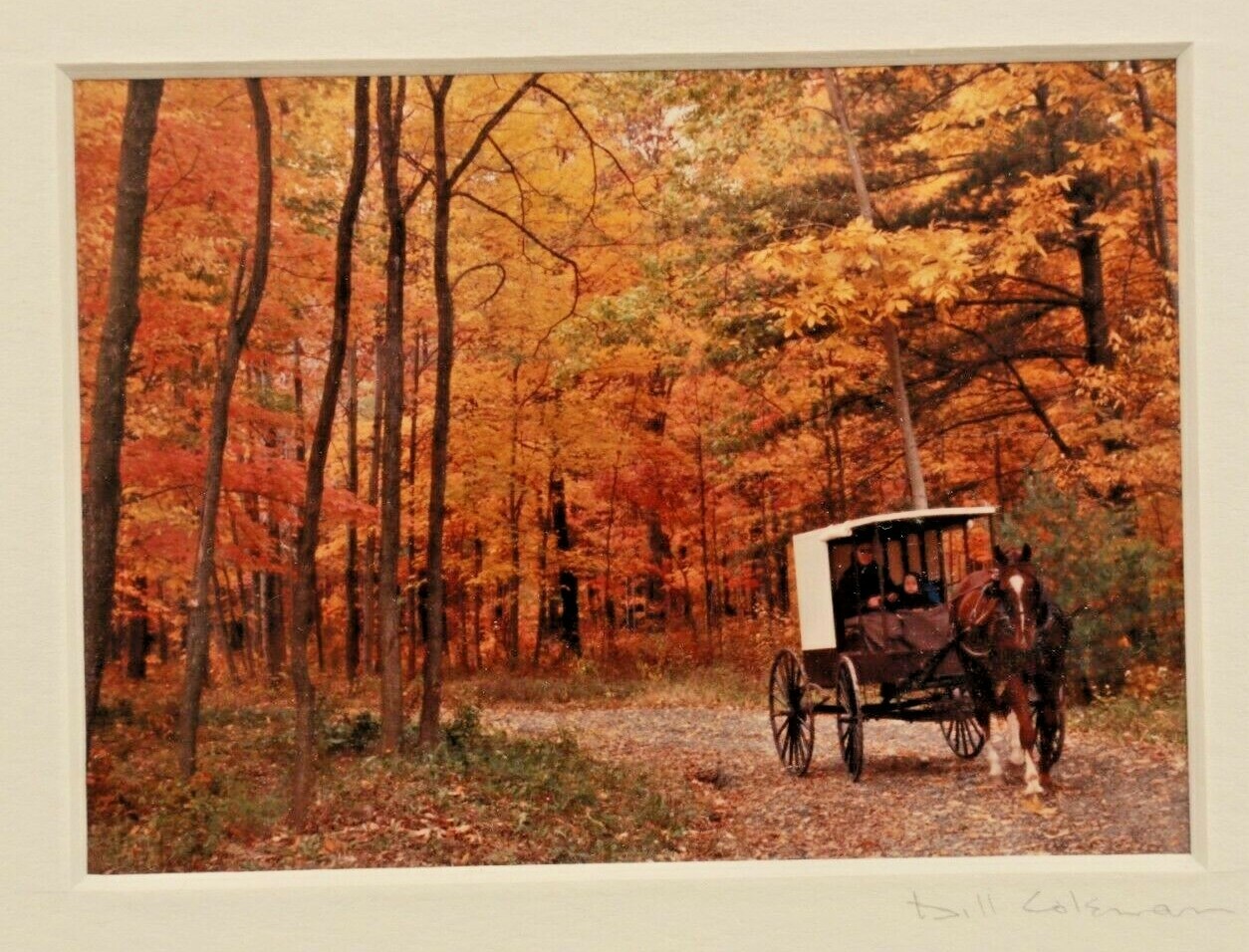 Bill Coleman Photograph Amish Horse Buggy Mother & Child Signed Matted 10″ X 8″
