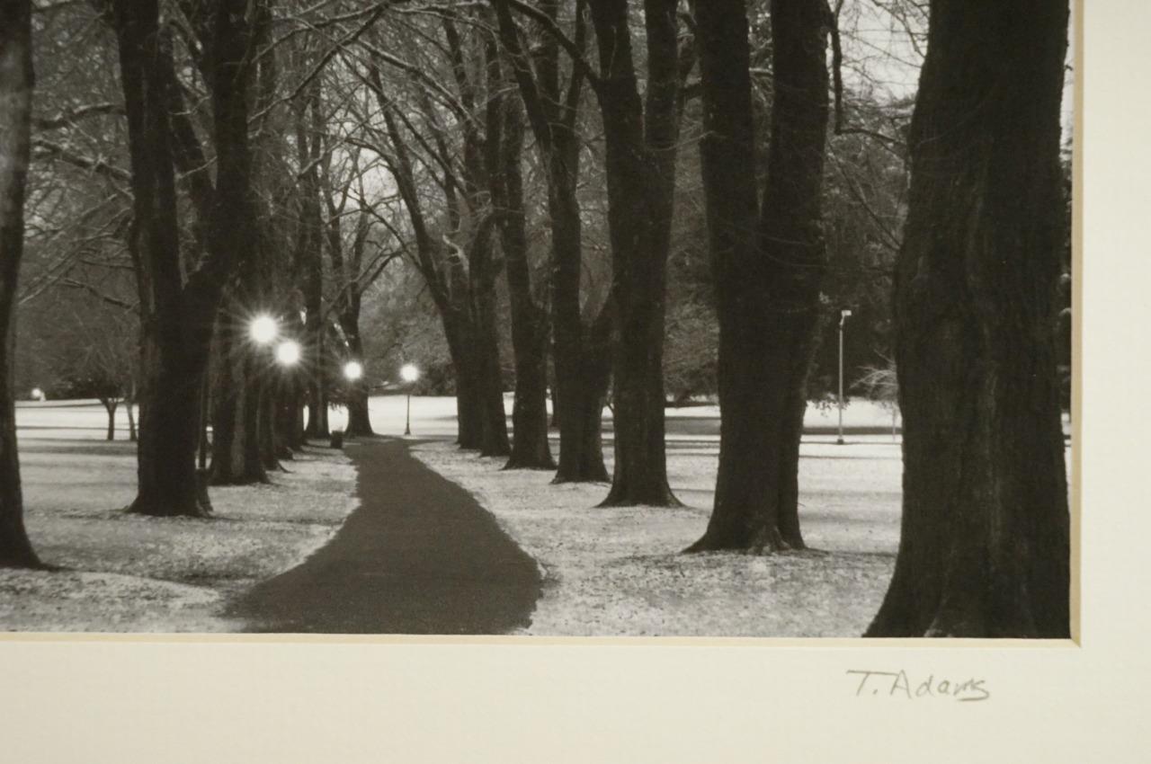 Tom Adams Photography OSU Oregon State University Lower Campus Matte Photo 11X14