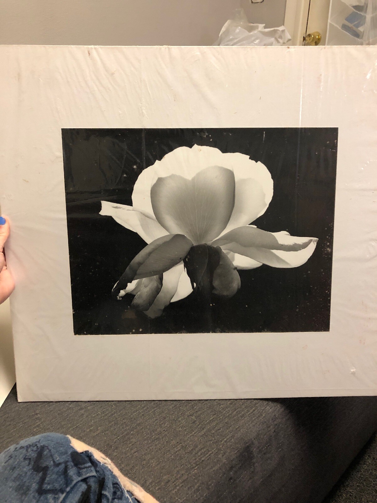 Art Photography Flower Unknown Black & White Intriguing & Dramatic 18X20