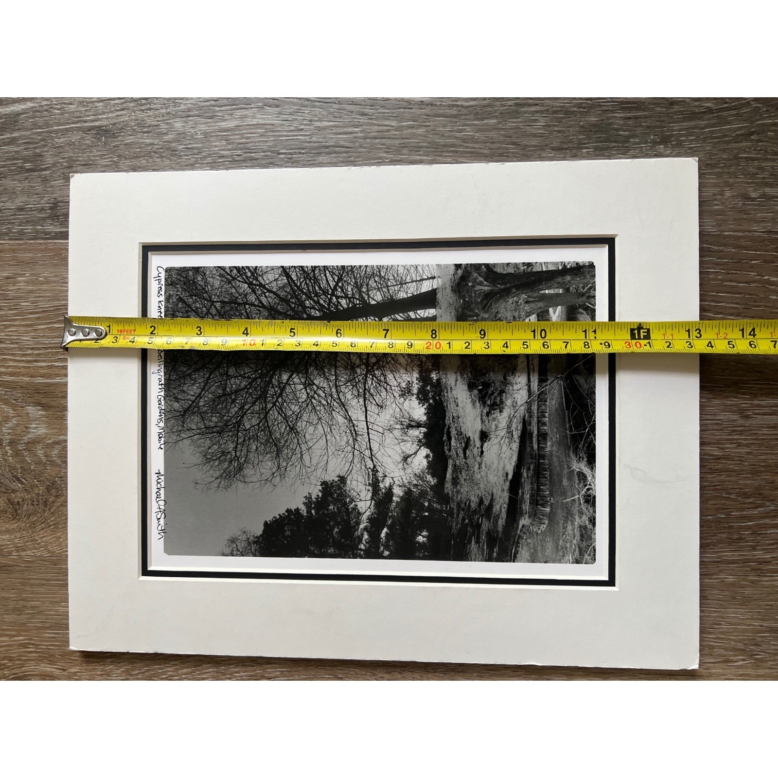 Michael A Smith Photograph Art 11×14 B&W Signed Cypress Knees Bellingrath garden