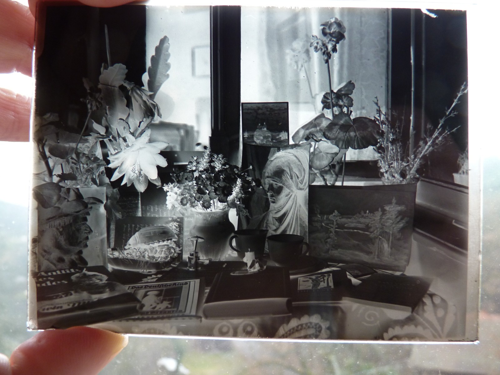 Glass Plates Negative Circa 1930 1933 Marburg Young Woman Teddy Doll Still Life