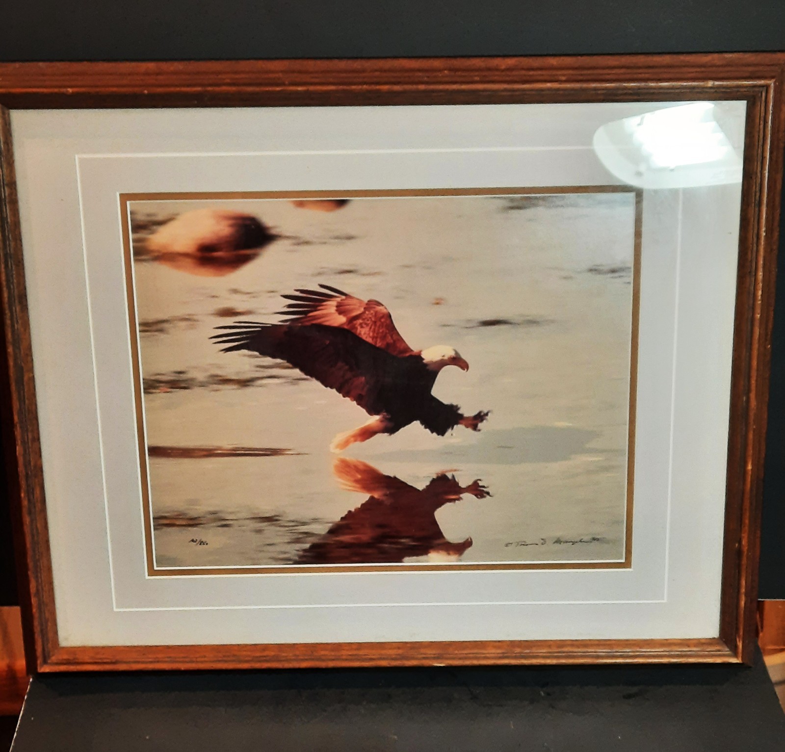 THOMAS D. MANGELSEN COLOR EAGLE PHOTOGRAPH SIGNED AND NUMBERED 102/850