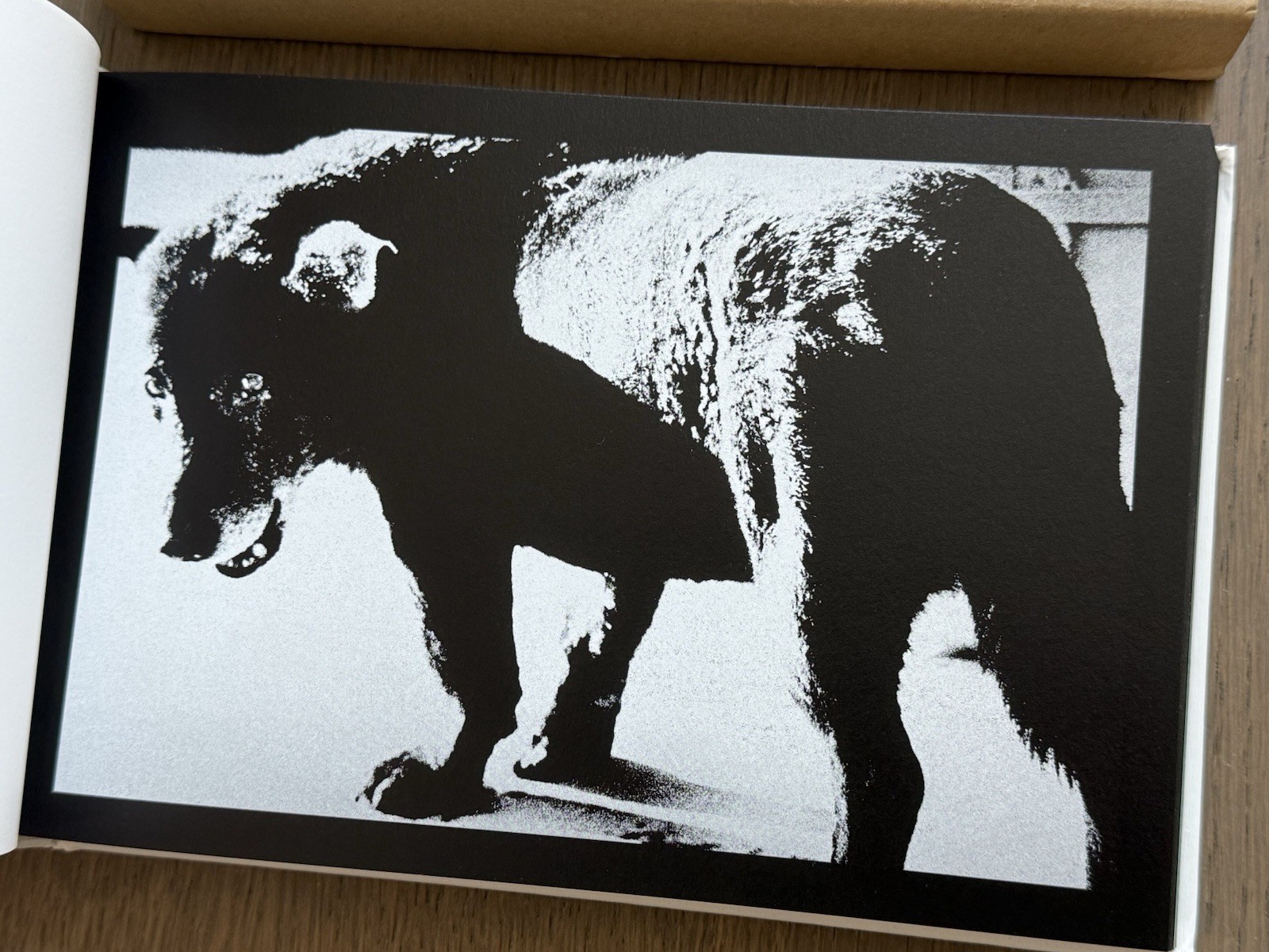 SIGNED! Daido Moriyama – SLIDE (Right), Japan, Hardcover, Slipcase, NEW