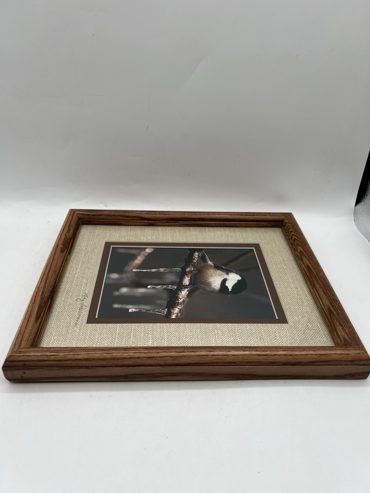 Chickadee On A Branch Original Photography Wooden Framed Signed Greg Ledermann
