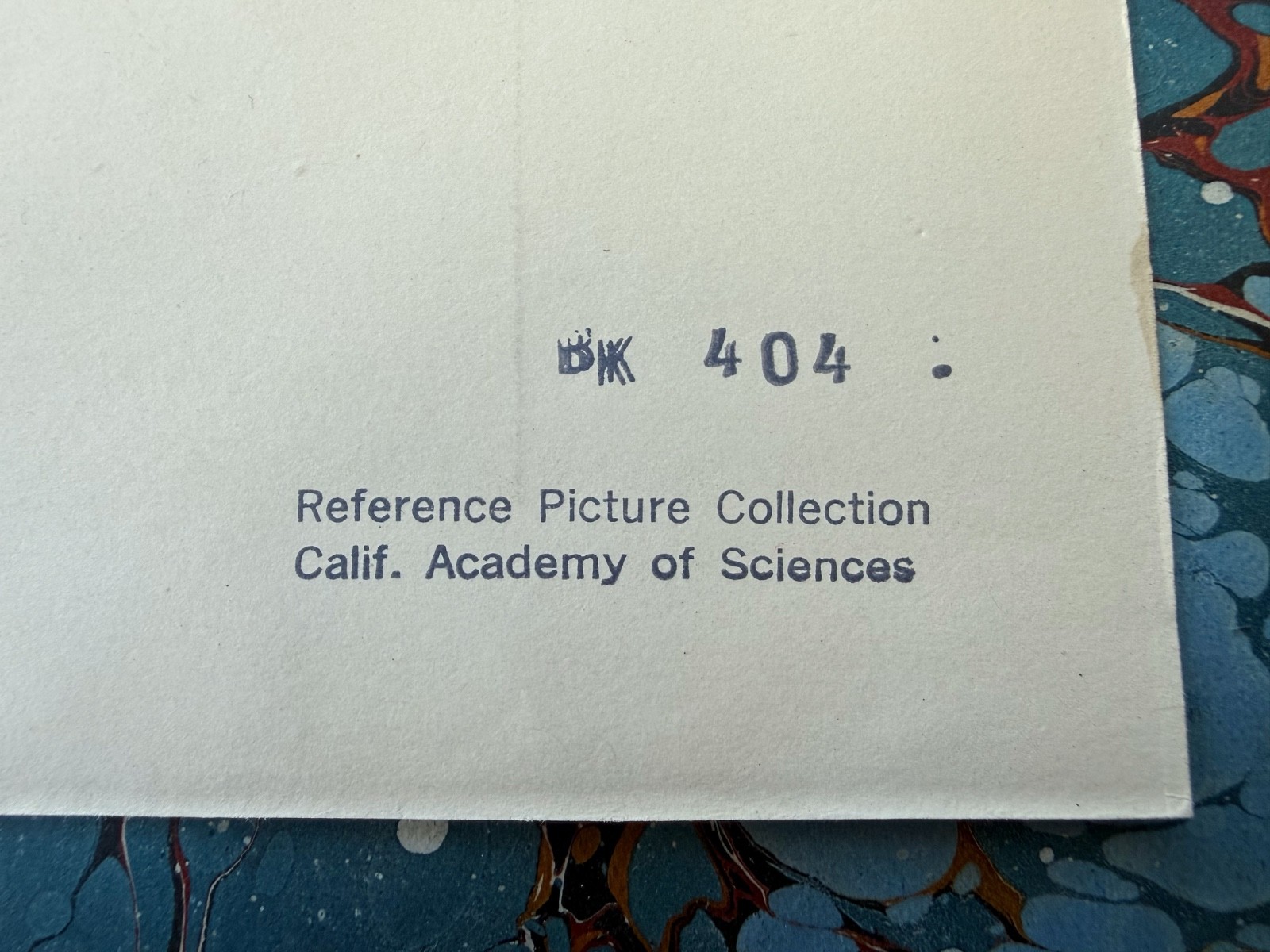 SIX ORIG. SCIENCE Black and White Photos 4 1/2″ X 5 1/2″ POLYSTYRENE BENZENE