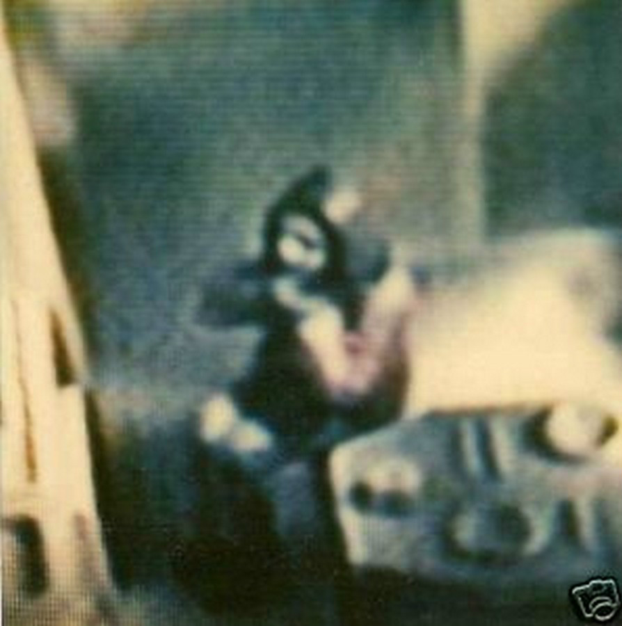 DAVID LEVINTHAL ‘Modern Romance’, 2000 SIGNED Vintage Polaroid SX-70 Photograph