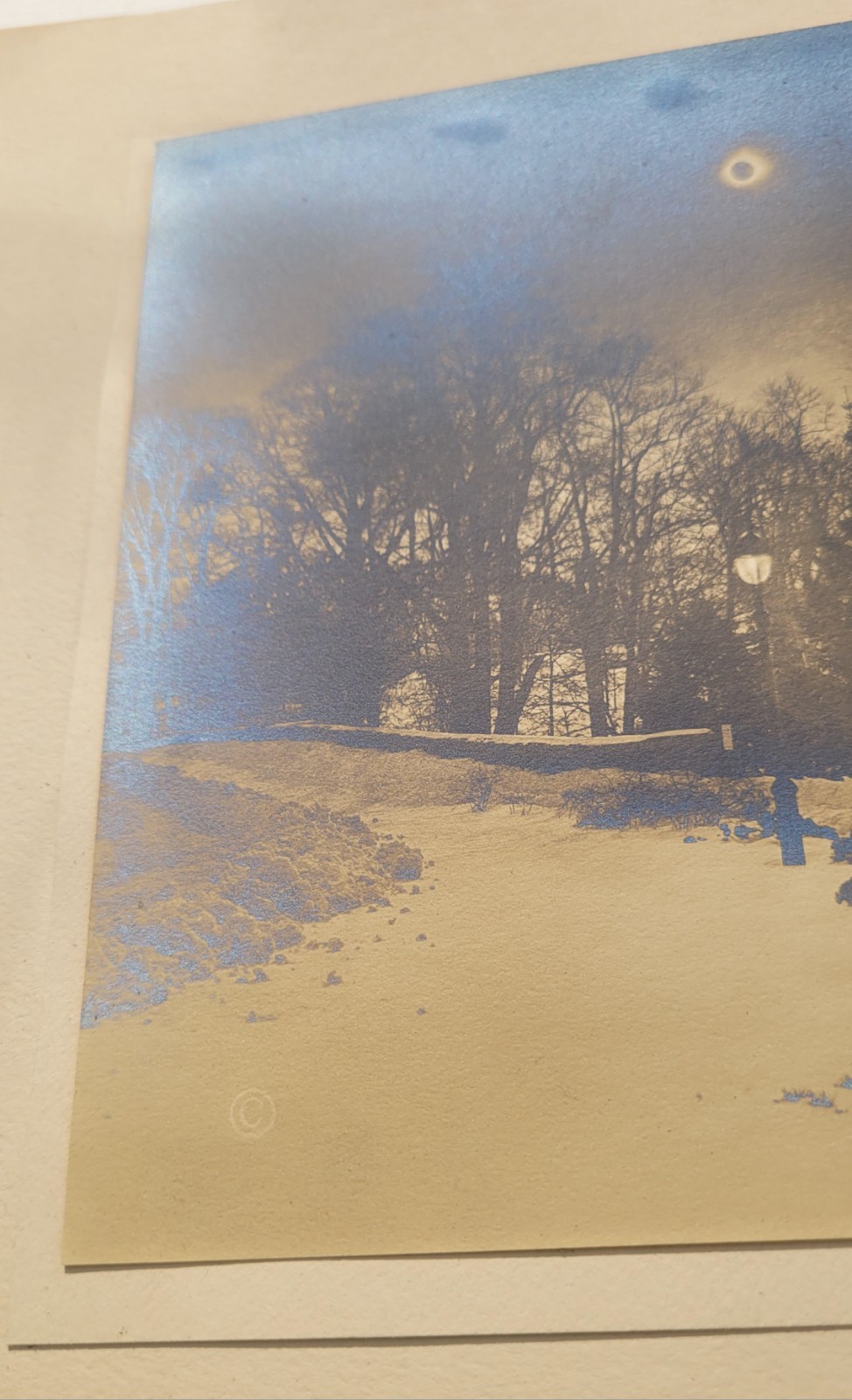 Adolf Fassbender Total Sun Eclipse Bronx Park NYC 1925 Photo