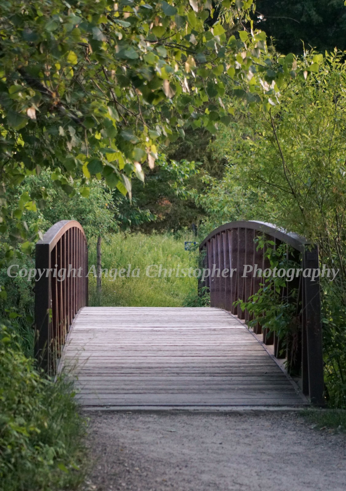 Original ACEO photo fine art print 2.5 x 3.5″ THE PATH bridge woods trees nature