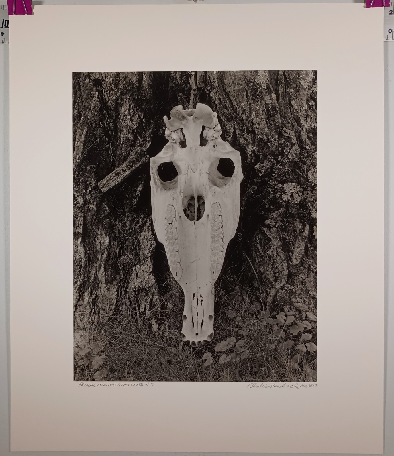 Large Format Black & White Photo Primal Manifestation #9 by Charles Fendrock