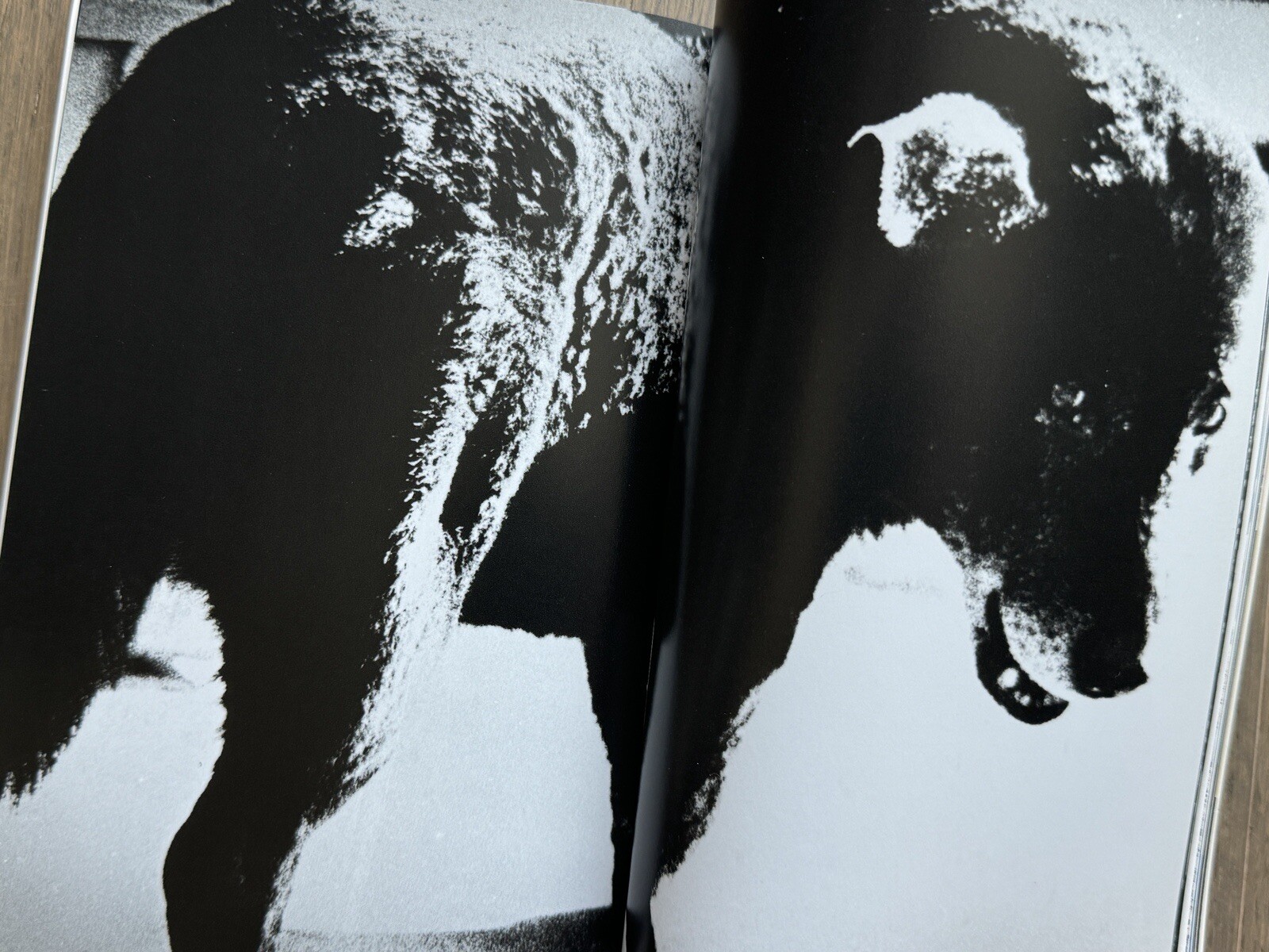 🎈RARE Daido Moriyama & Takuma Nakahira – Bijutsu Techo 2003 Special issue Japan
