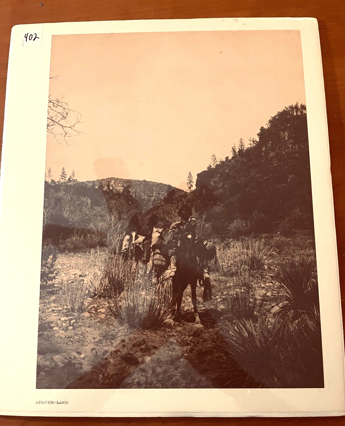 Edward S. Curtis Apache Man 16 x 12 Sepia Print Native American EUC